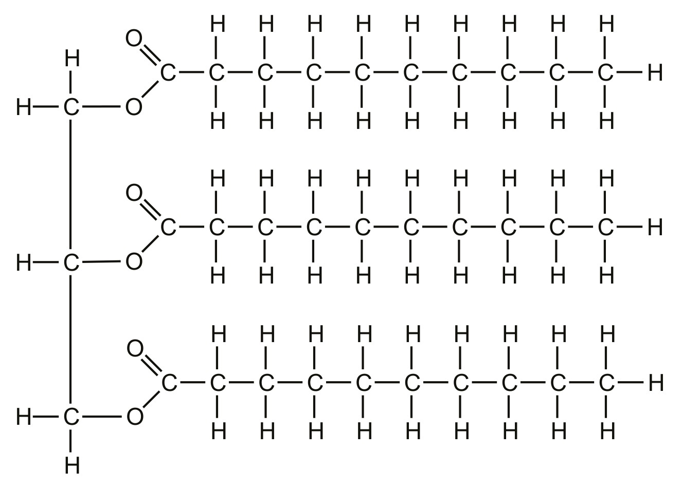 Figure for Question IB Biology HL C1.2.17 Hl Lipids Vs Carbohydrates As Substrates Questions question 1 — IB Biology HL