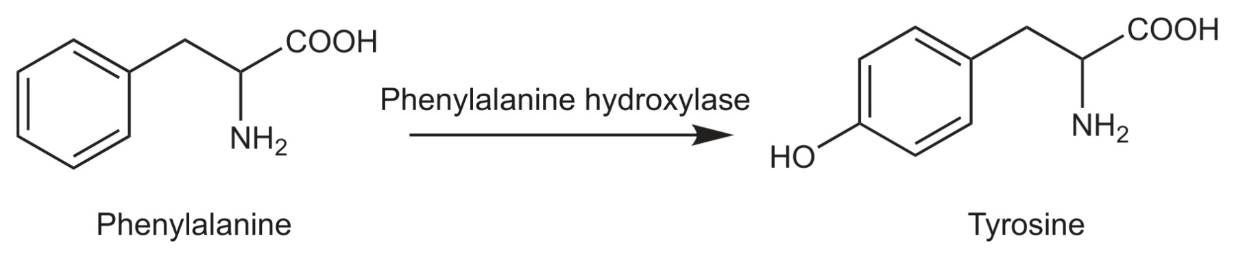Figure for Question IB Biology HL D3.2.7 Phenylketonuria Pku Questions question 1 — IB Biology HL
