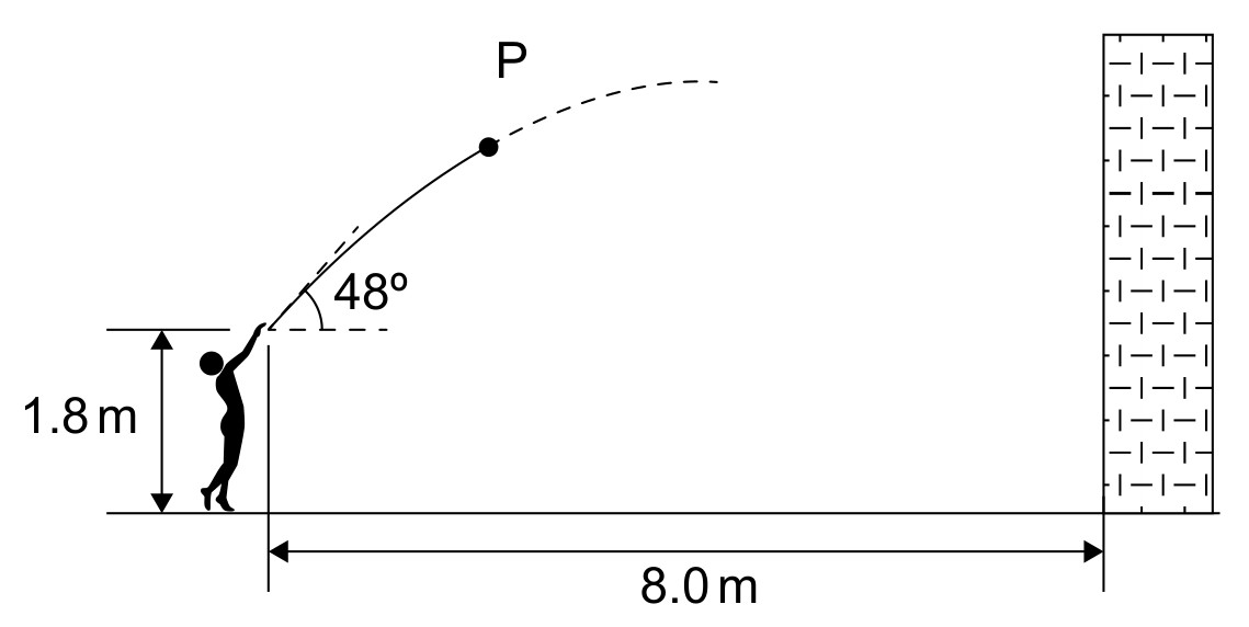 Figure for Question IB Physics HL A 1 1 Position Velocity and Acceleration Questions question 1 — IB Physics HL