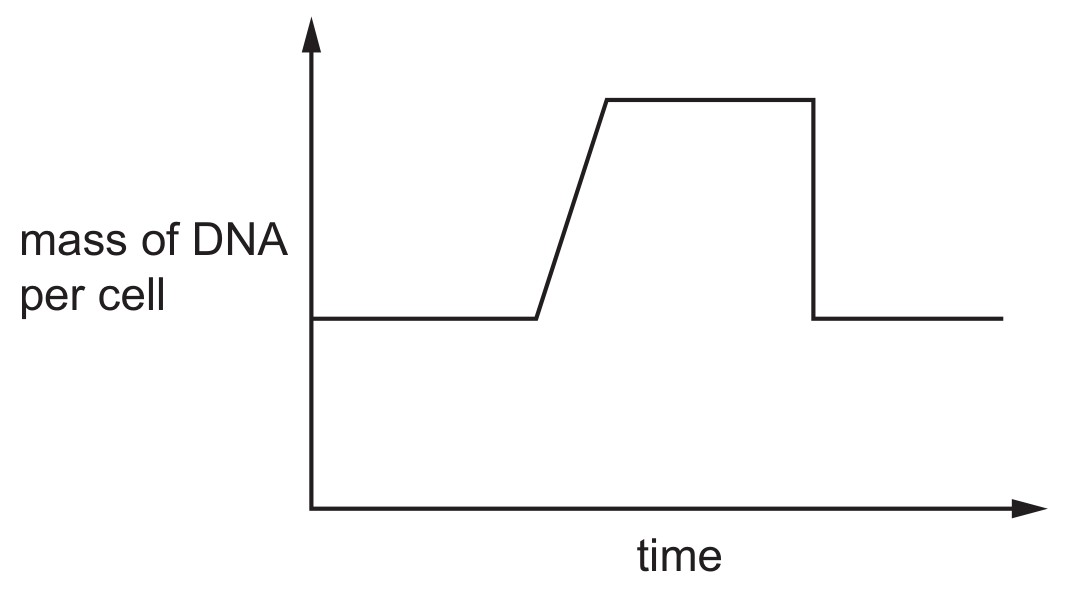 Figure for Question 1 — CAIE IGCSE Biology