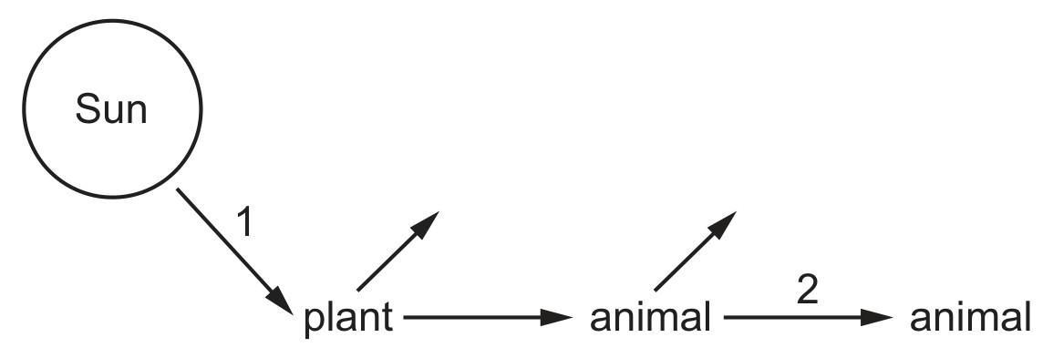 Figure for Question 2 — CAIE IGCSE Biology