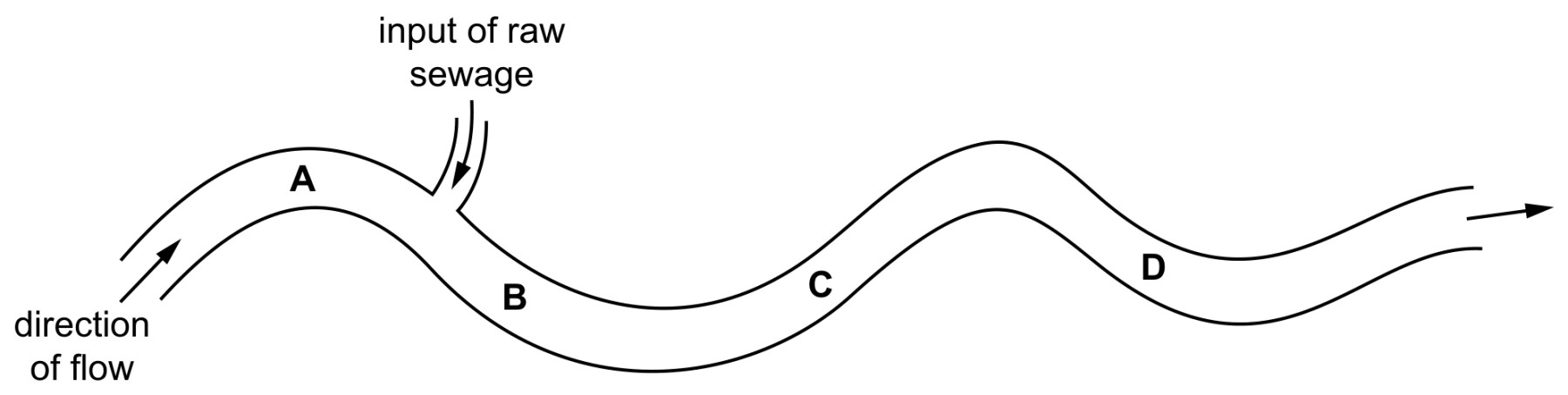 Figure for Question 1 — CAIE IGCSE Biology
