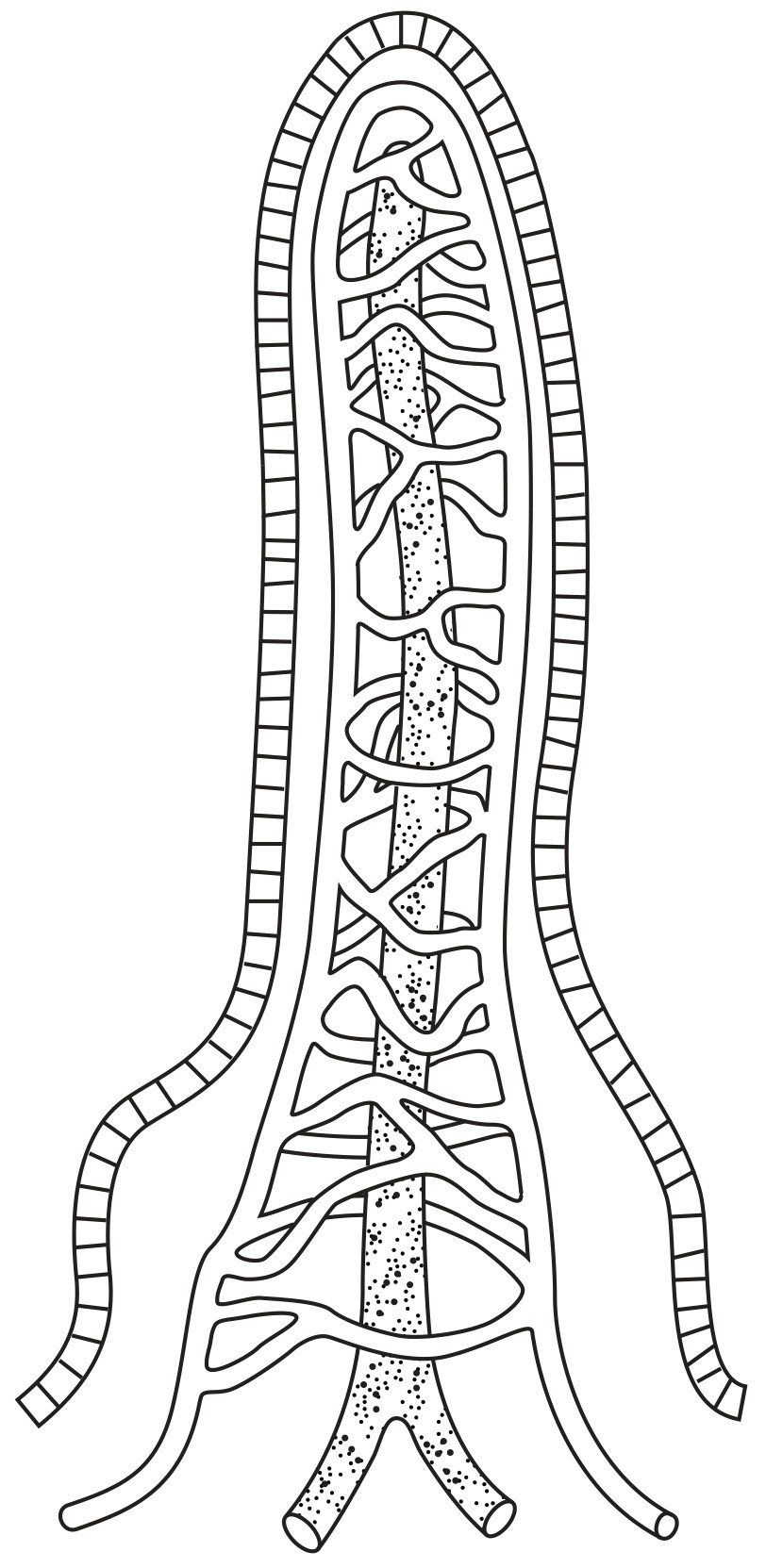 Fig. 6.1