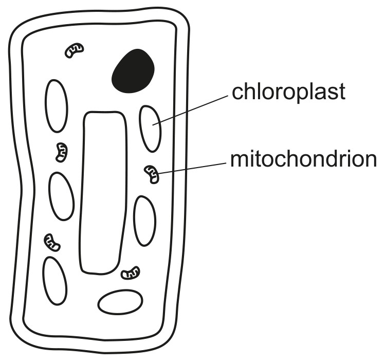Fig. 3.2