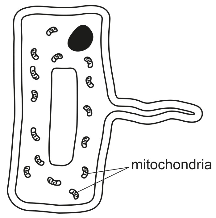 Fig. 3.1