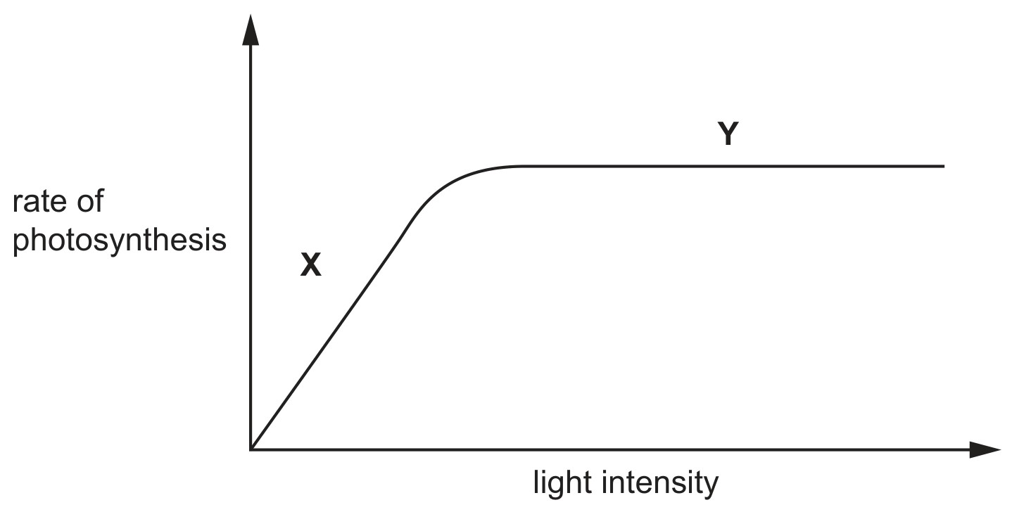 Fig. 4.1
