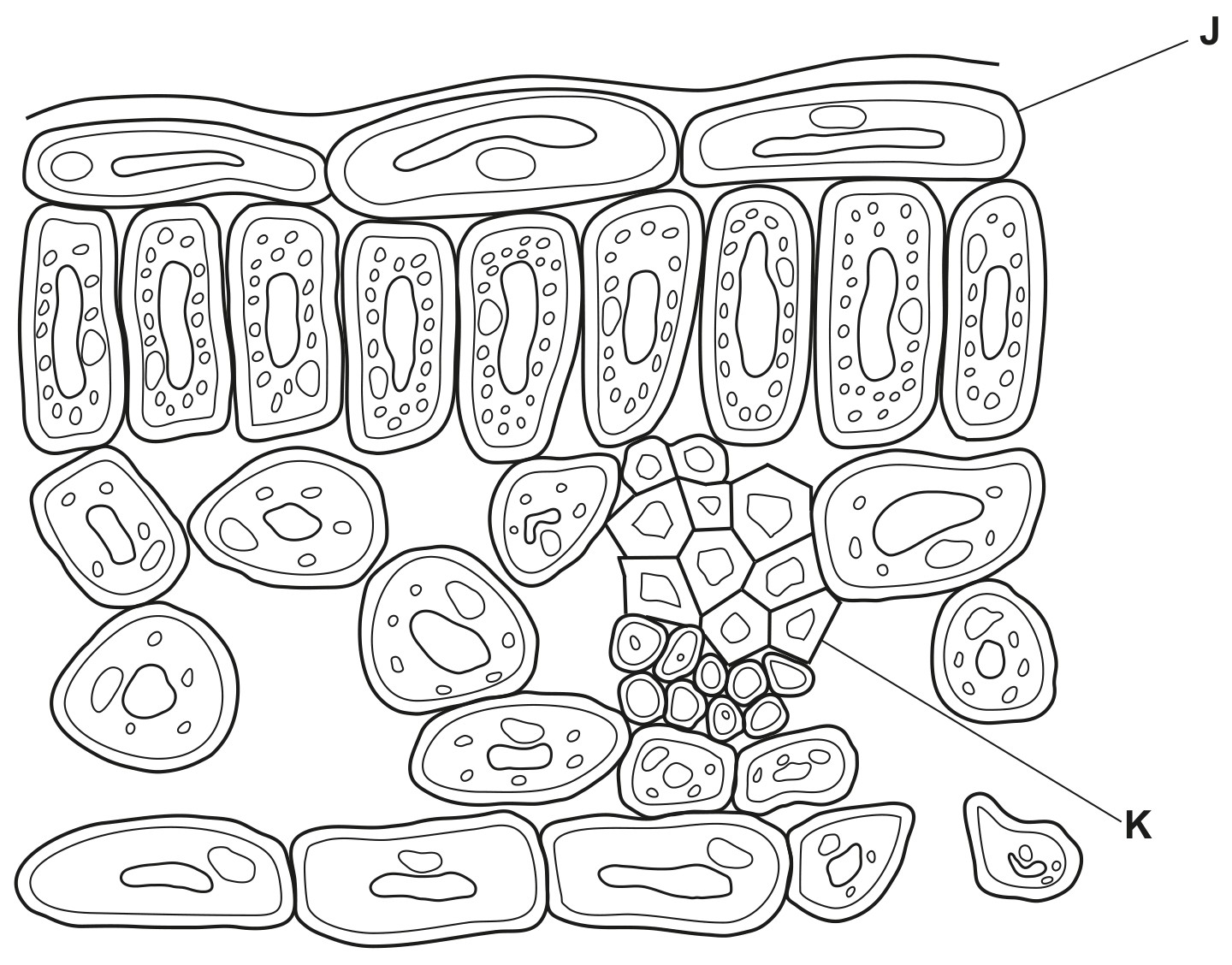 Fig. 2.1