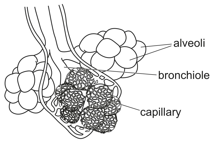Fig. 3.1