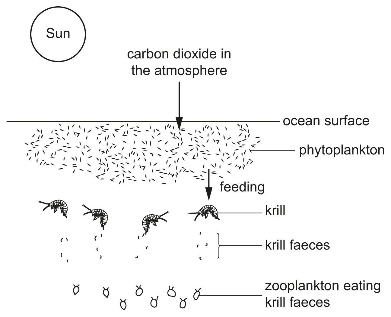 Fig. 6.1 (not to scale)