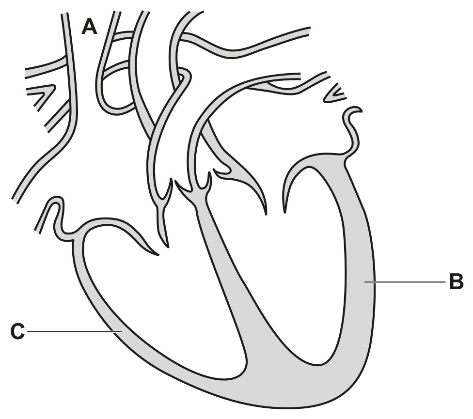 Fig. 3.1
