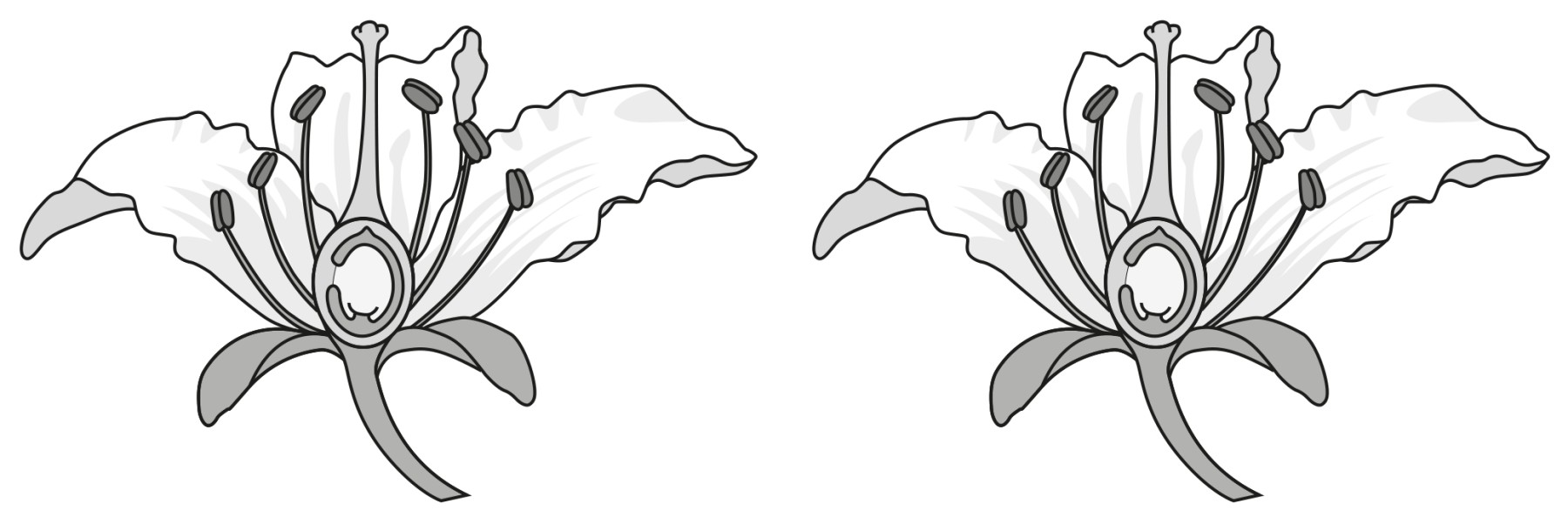 Fig. 3.3
