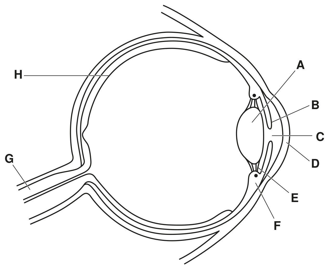 Fig. 5.1