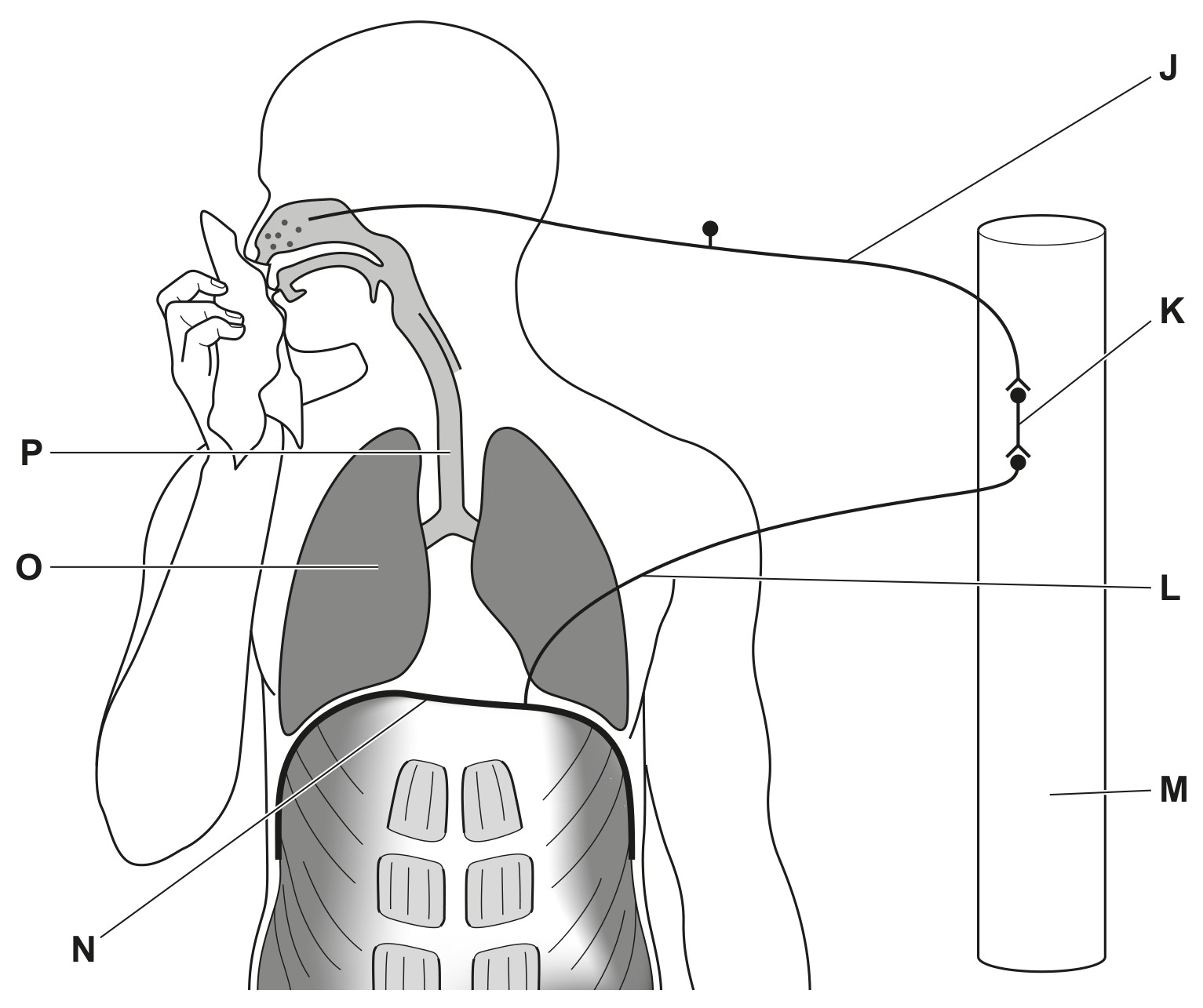 Fig. 1.1