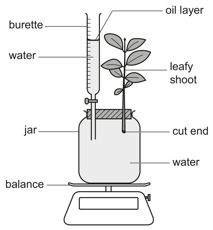 Fig. 3.1
