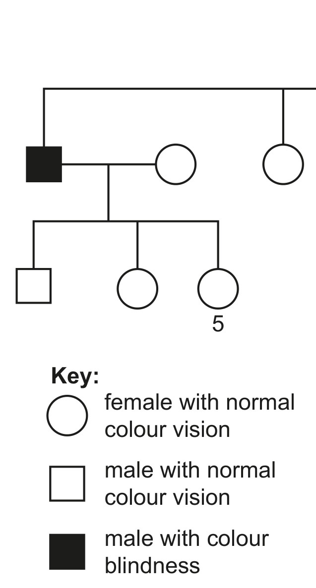 Fig. 3.3