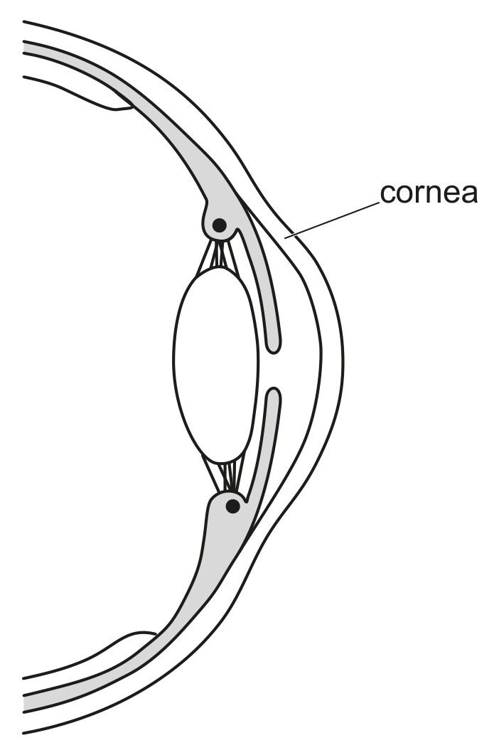 Fig. 3.1