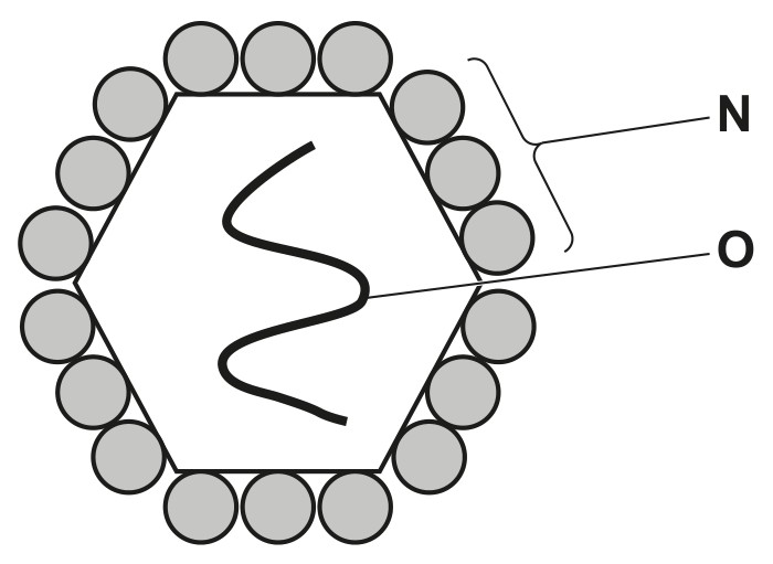 Fig. 4.1