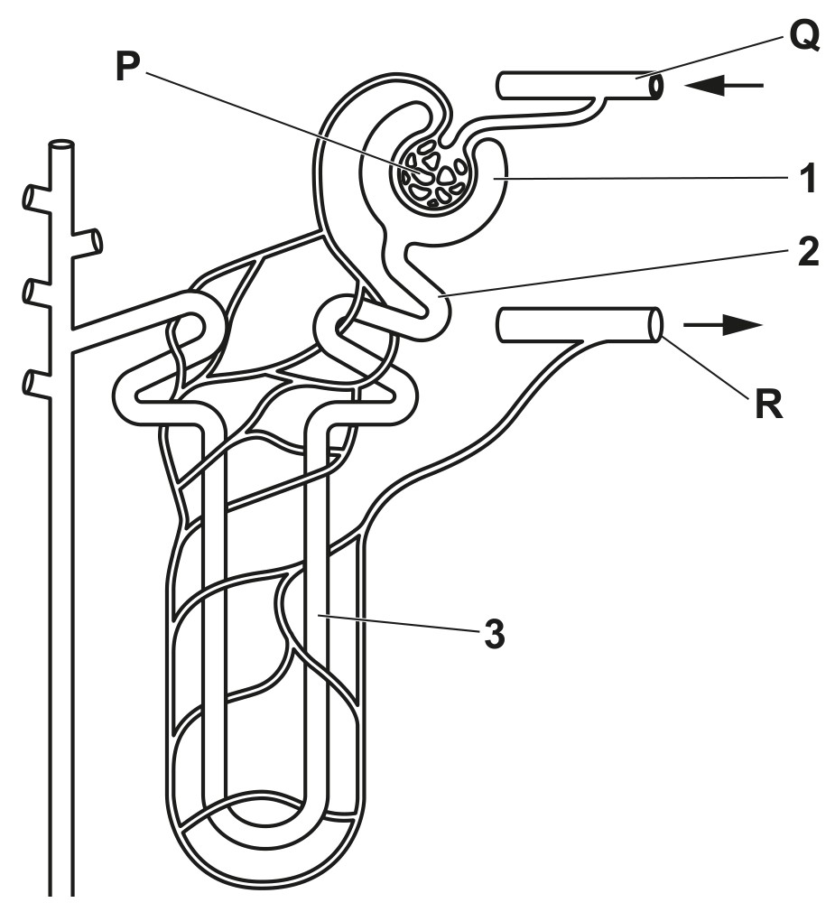 Fig. 2.1