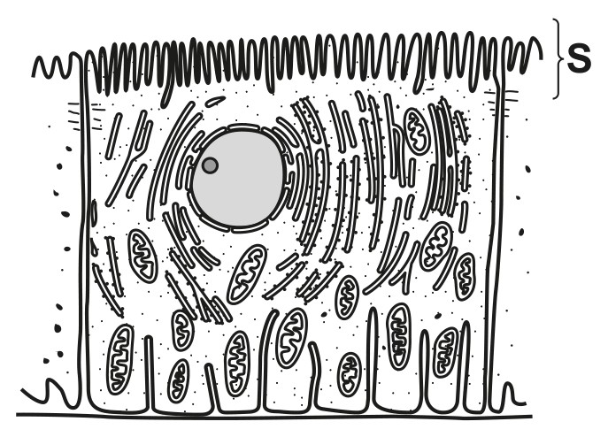Fig. 2.2
