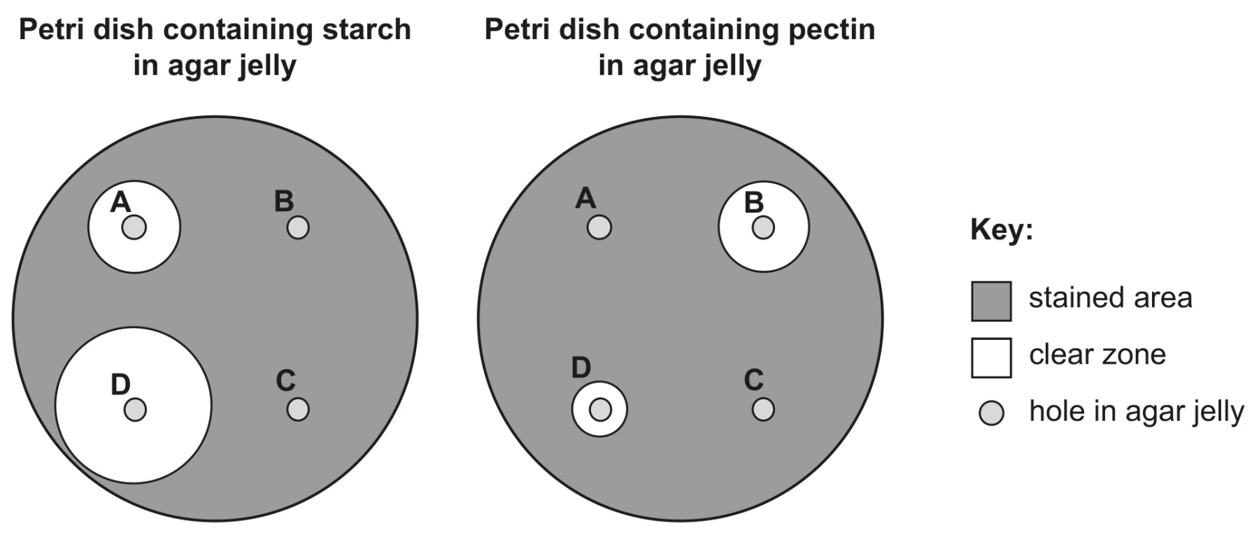 Fig. 1.3