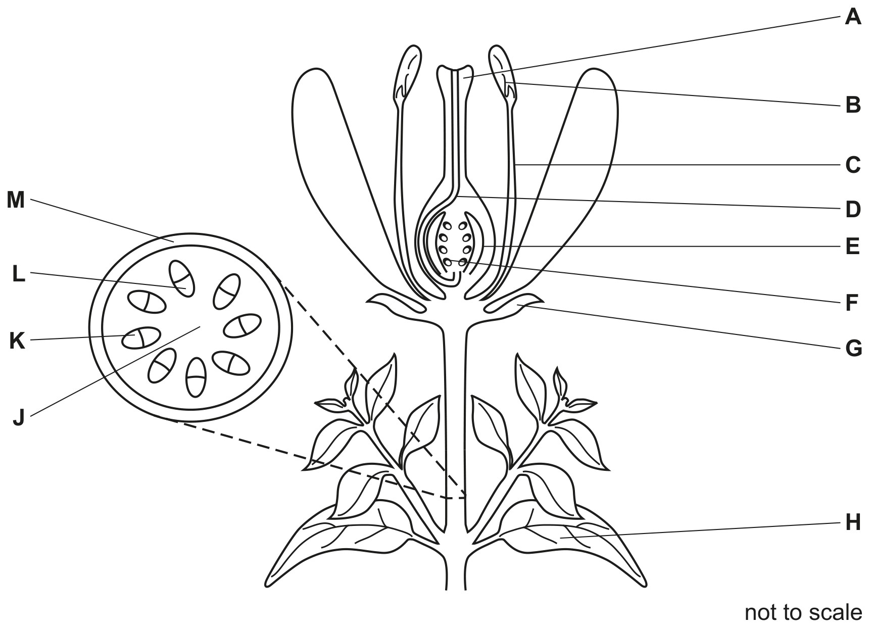 Fig. 6.1