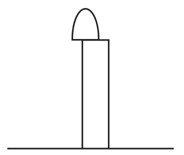 tip replaced on one side of the remaining coleoptile that is then kept in the dark