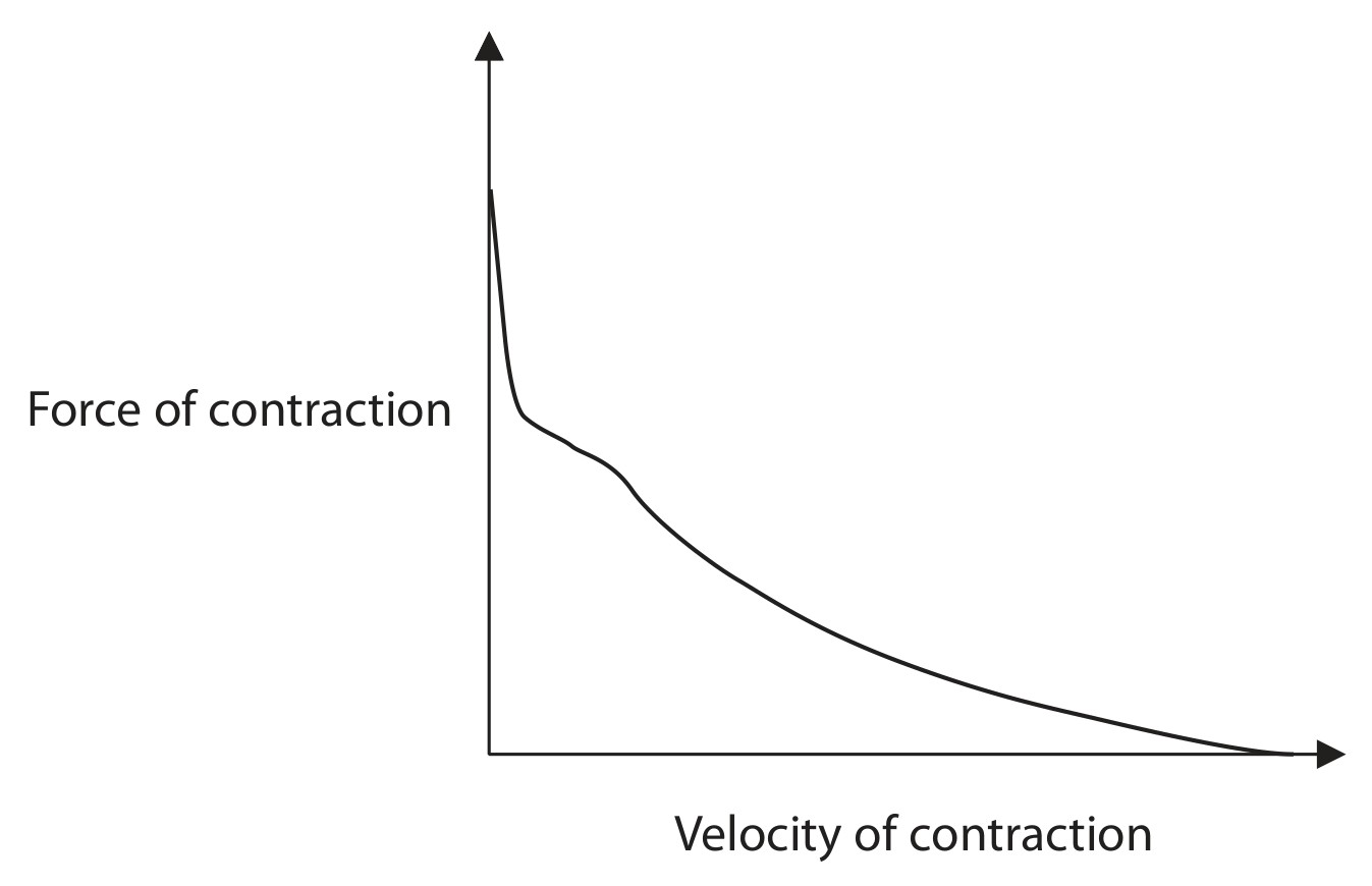 Figure for Question 14 — Edexcel A-Level Biology A2