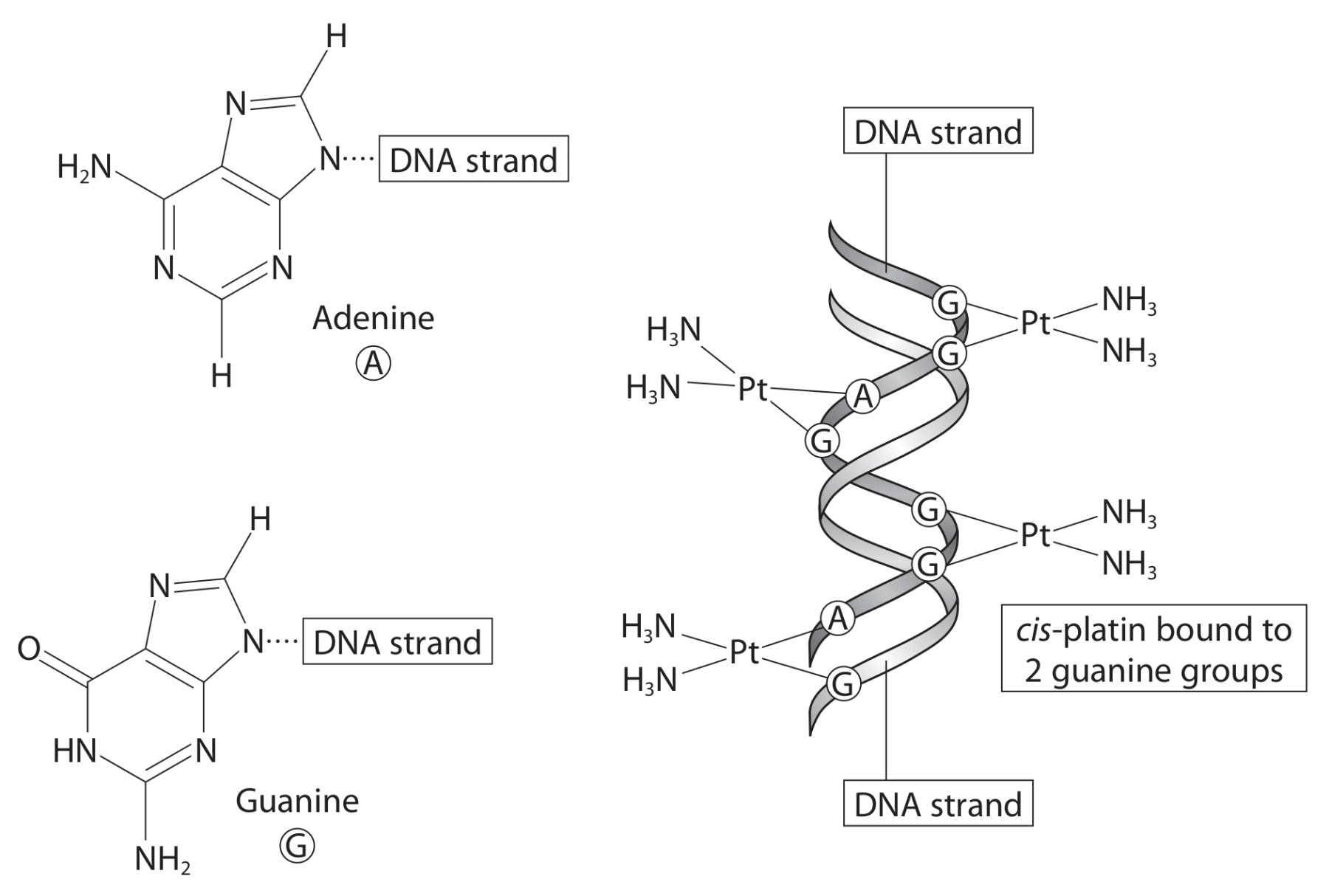 Figure for Question 33 — Edexcel A-Level Chemistry A2