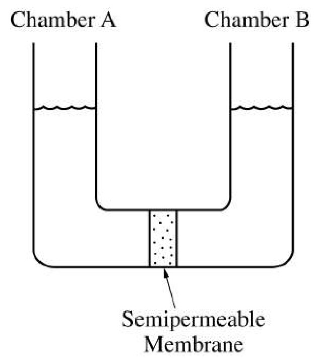 Figure for Question 1 — AP Biology