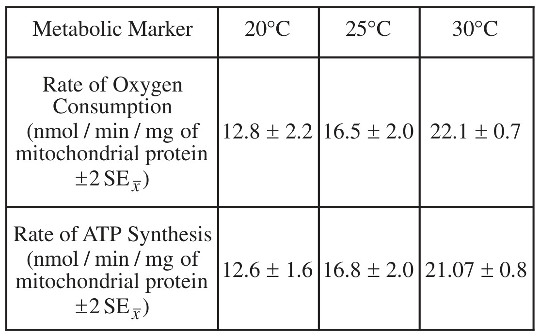 TABLE 1. RATE OF OXYGEN CONSUMPTION AND ATP SYNTHESIS AT DIFFERENT TEMPERATURES