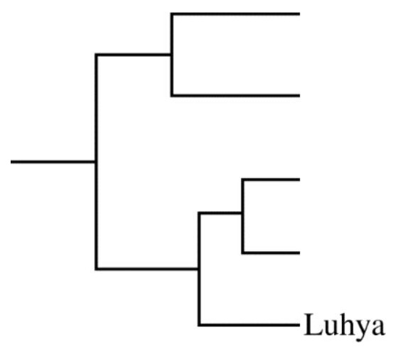 Figure for Question AP Biology 6.7 C Explain How Alterations in Dna Sequences Contribute to Variation That Can Be Subject to Natural Selection Questions question 1 — AP Biology