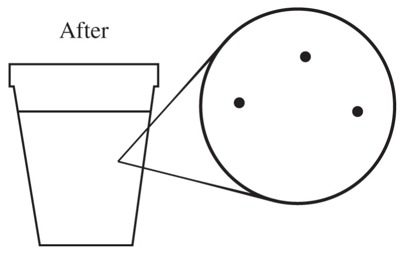Figure for Question 1 — AP Chemistry