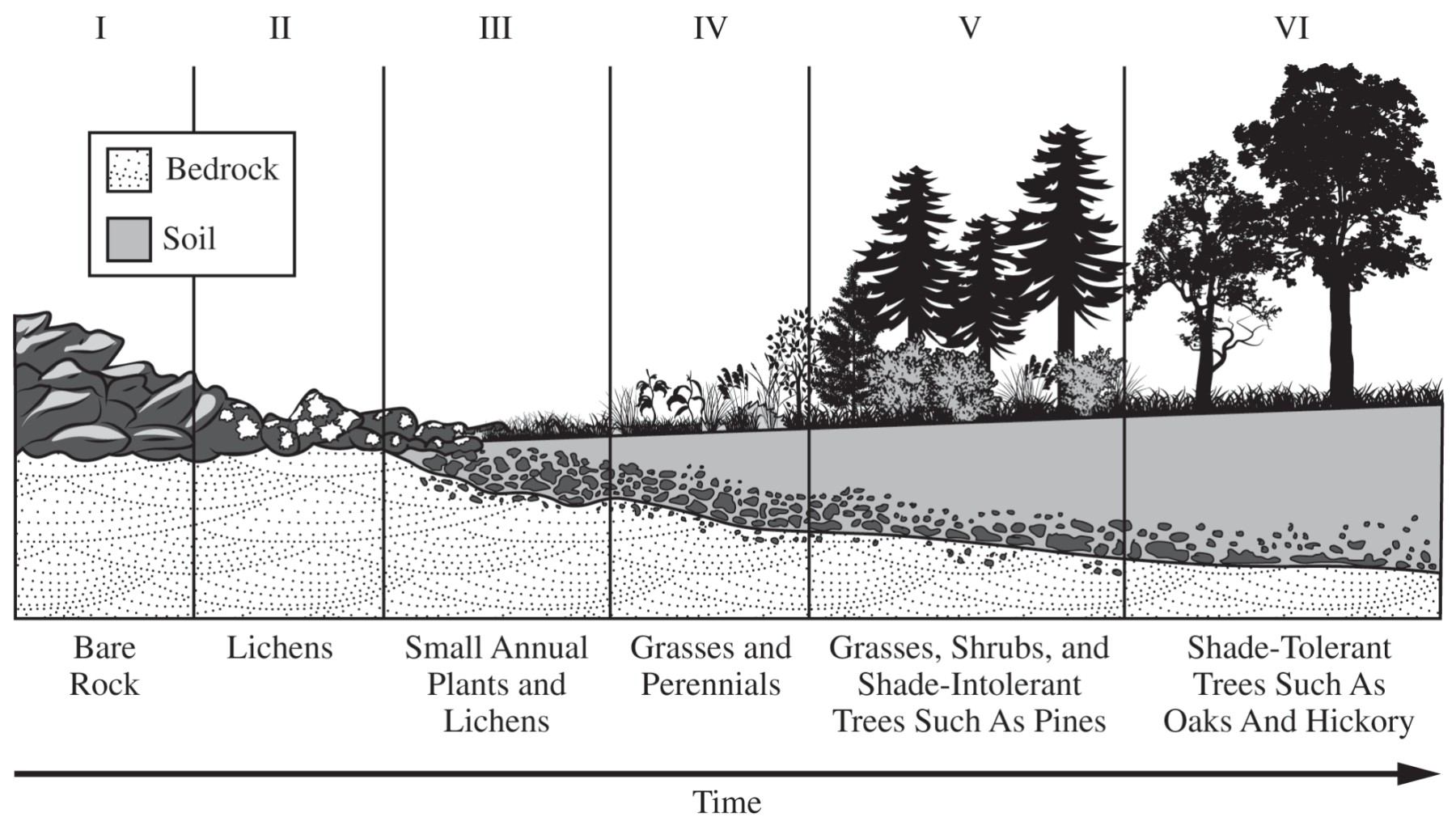 Figure for Question 2 — AP Environmental Science