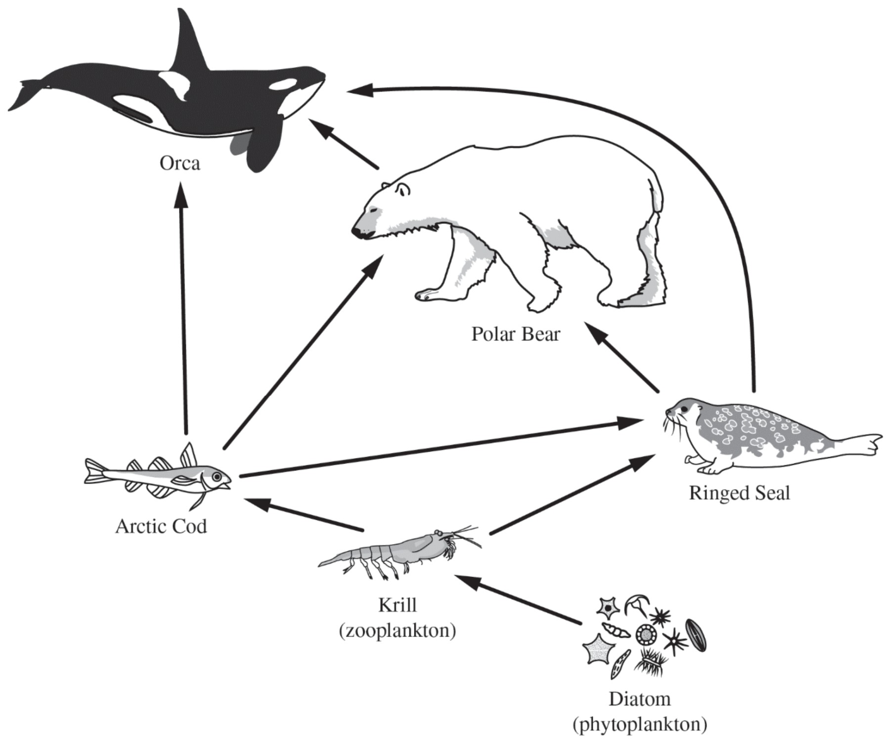 Figure for Question 1 — AP Environmental Science