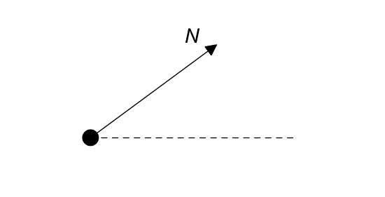 Figure for Question IB Physics SL A 2 13 Weight Questions question 1 — IB Physics SL