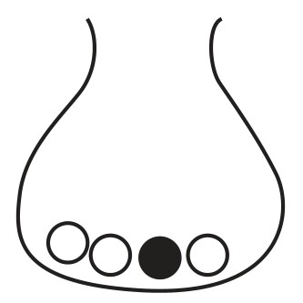 Bag B