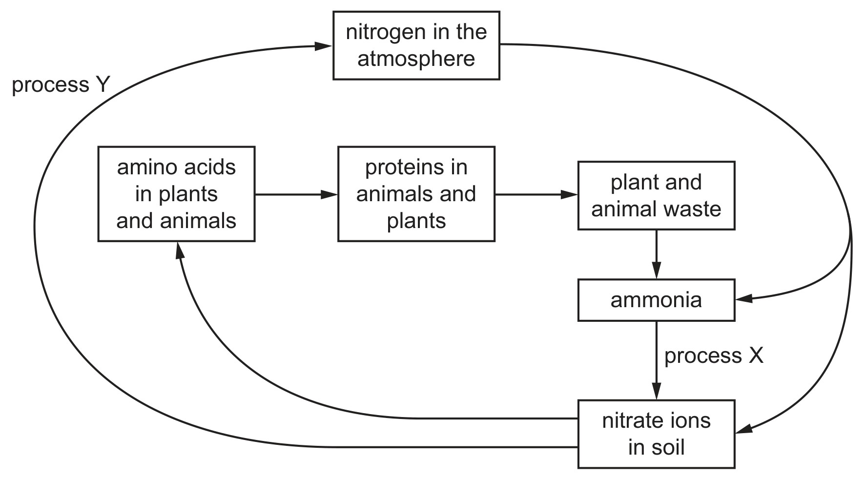 Figure for Question 2 — CAIE IGCSE Biology