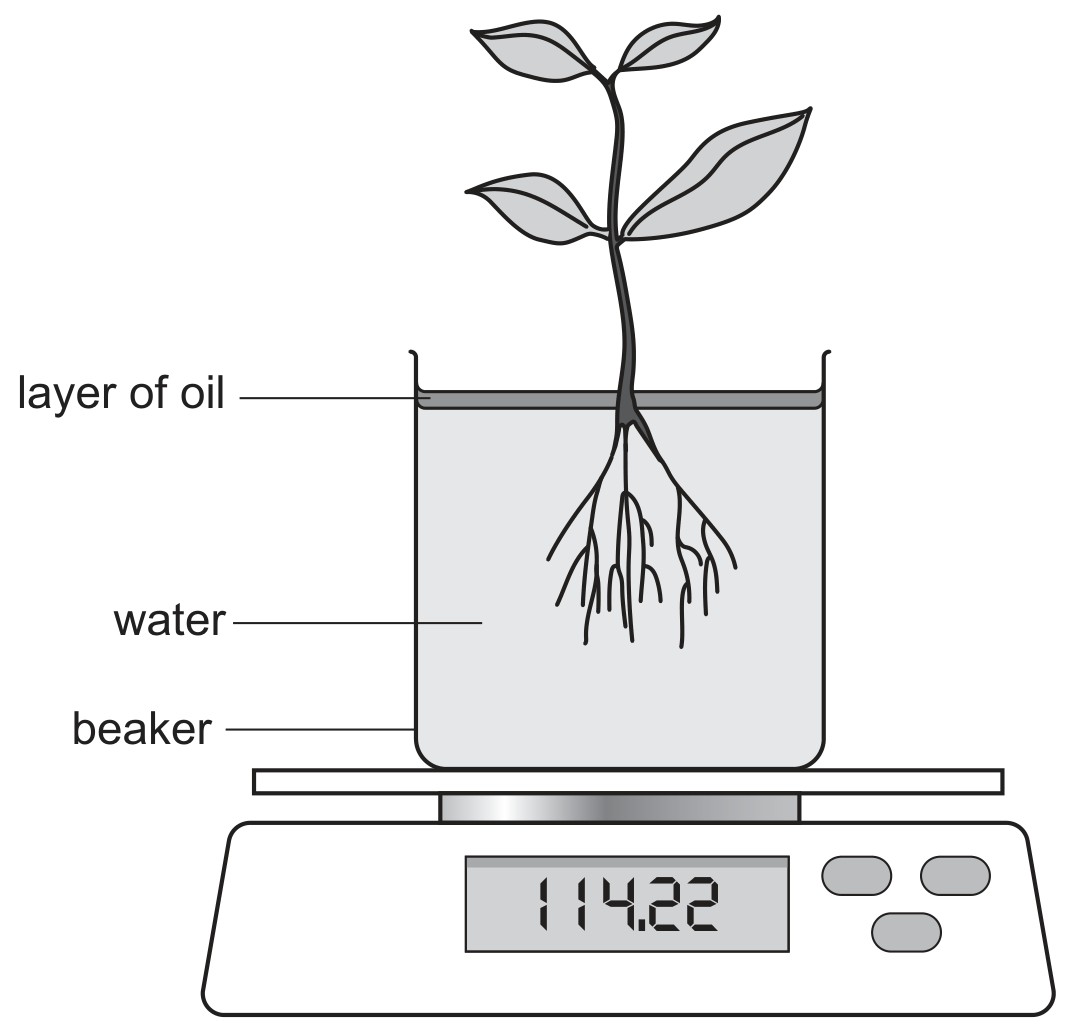 Fig. 3.1