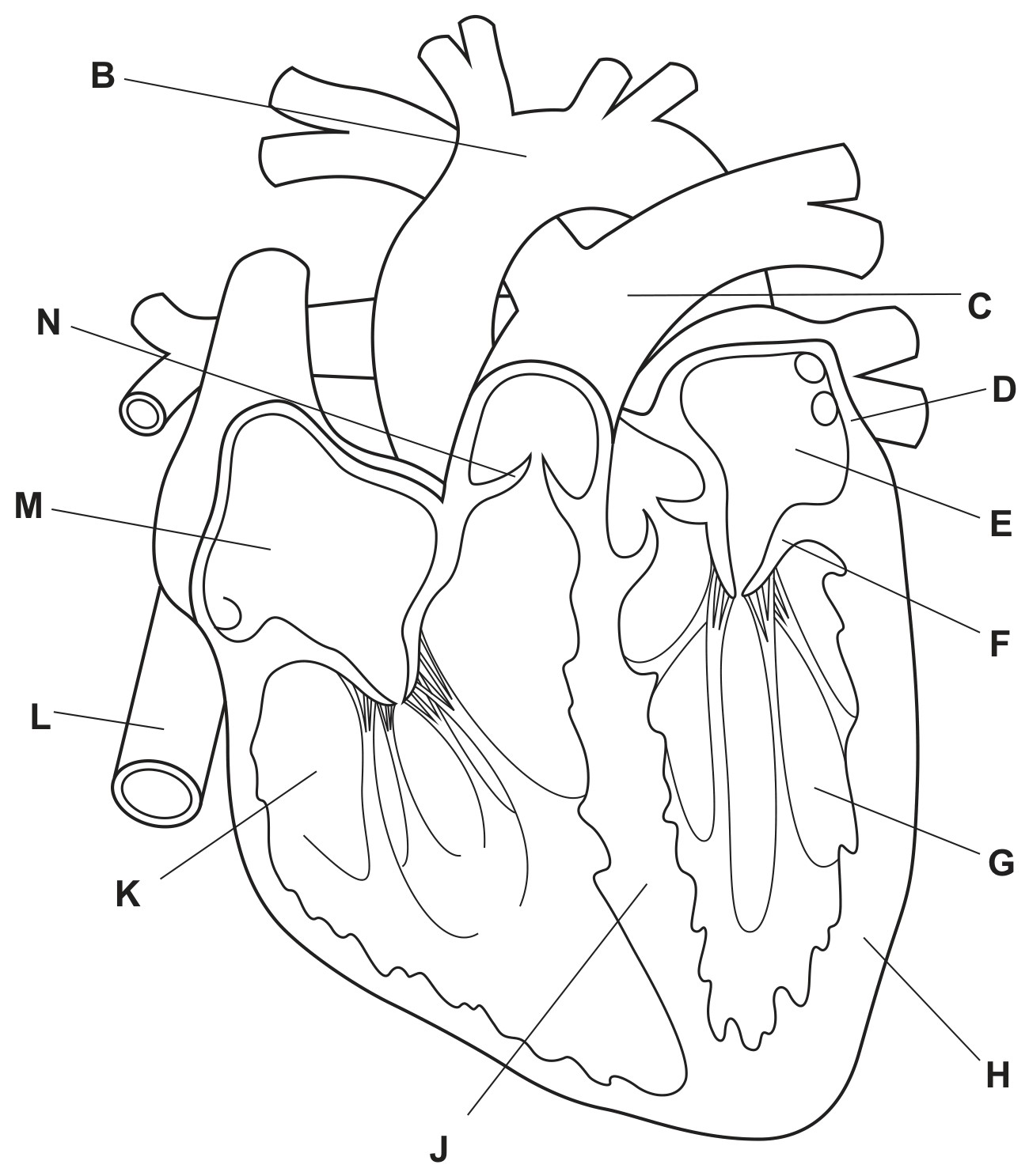 Fig. 4.1