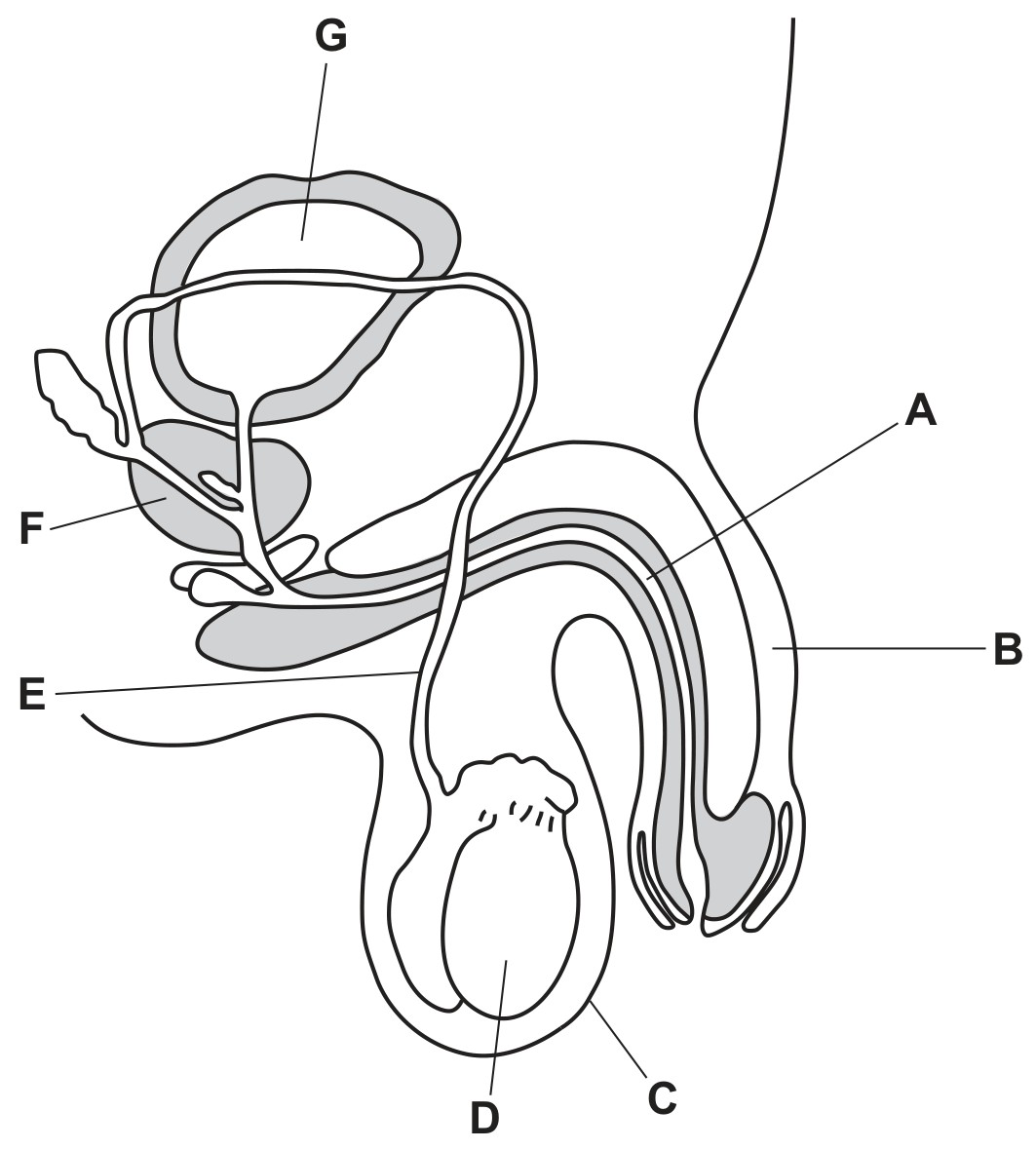 Fig. 6.1