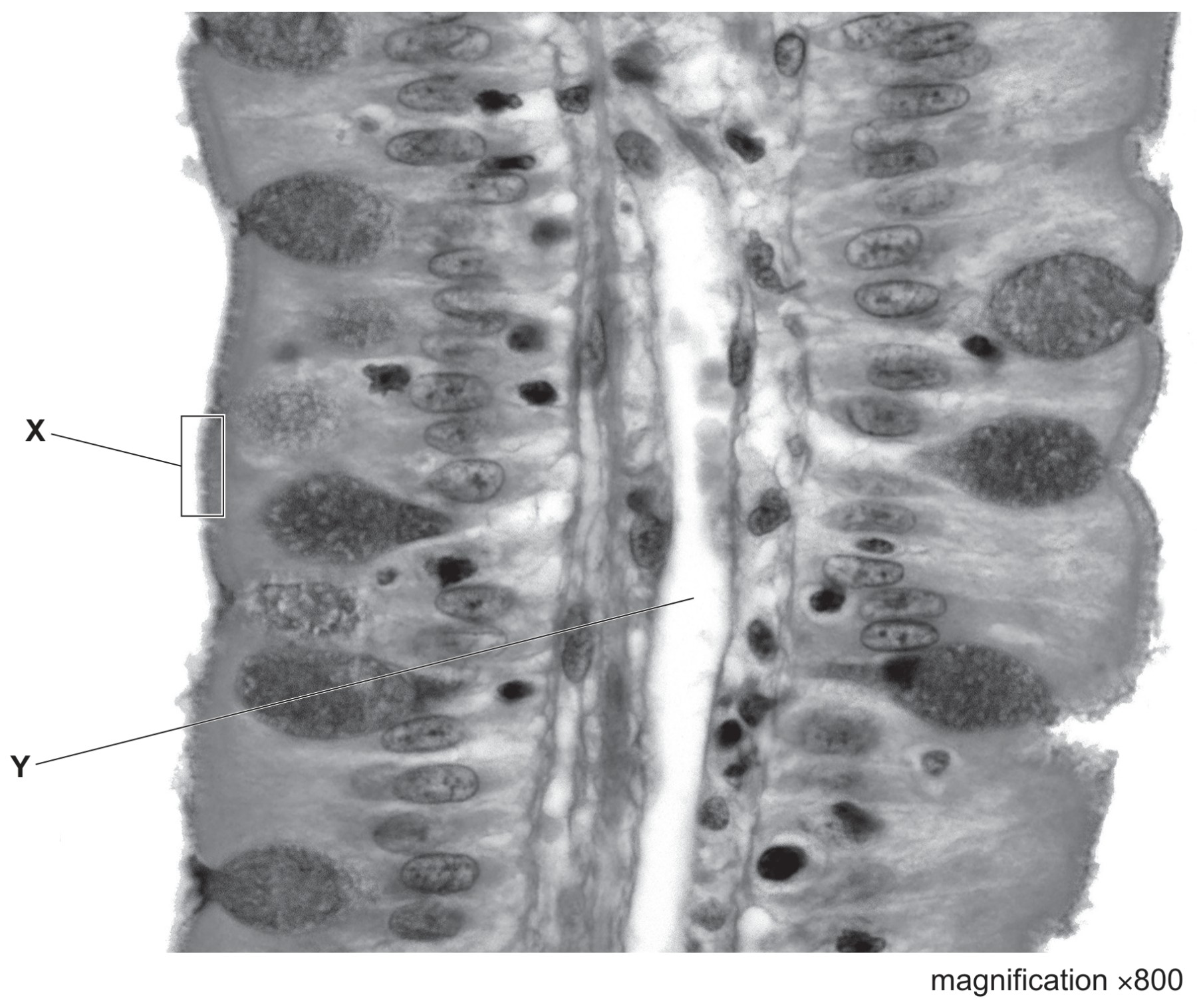 Fig. 1.2