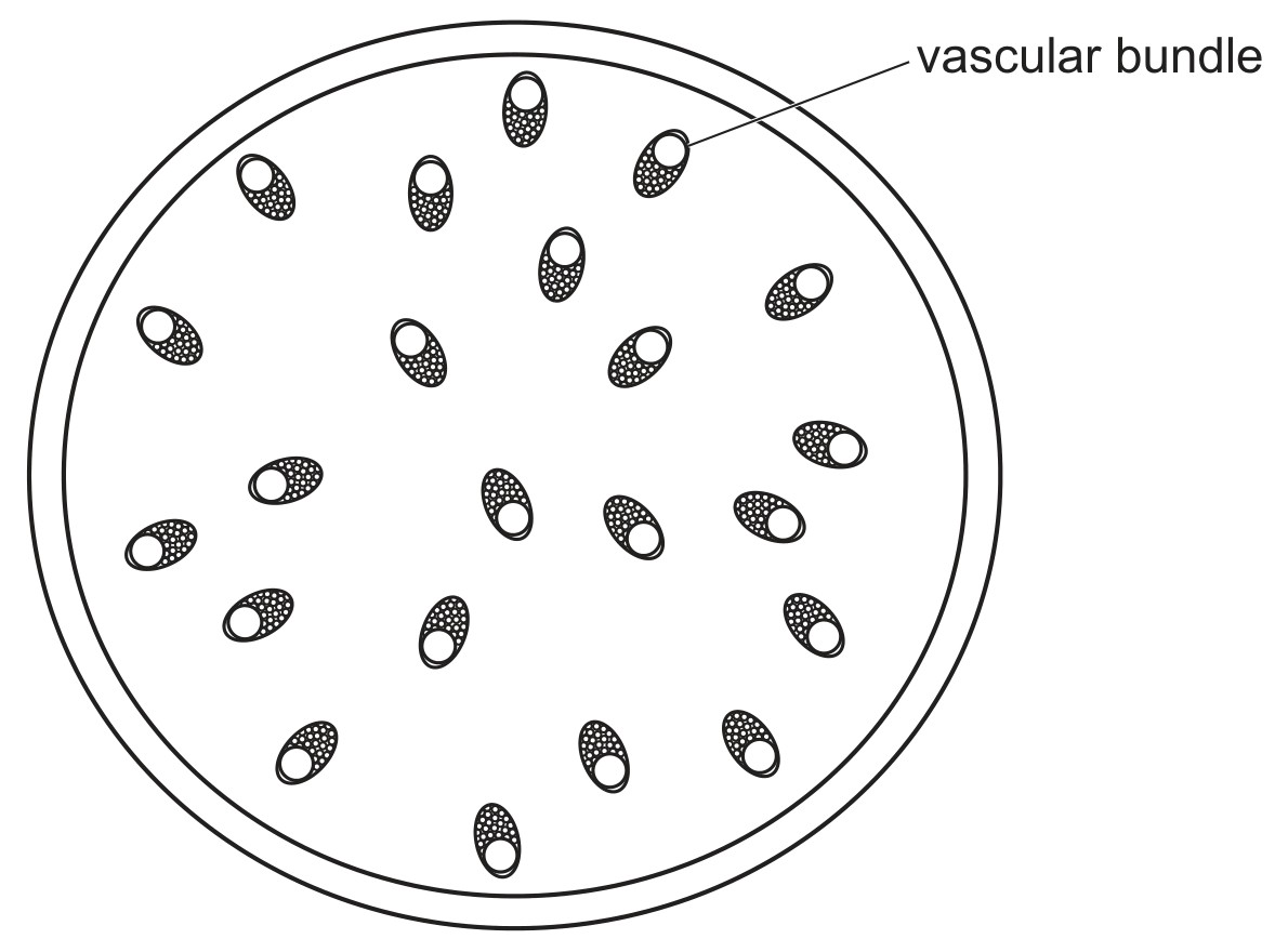 Fig. 2.1