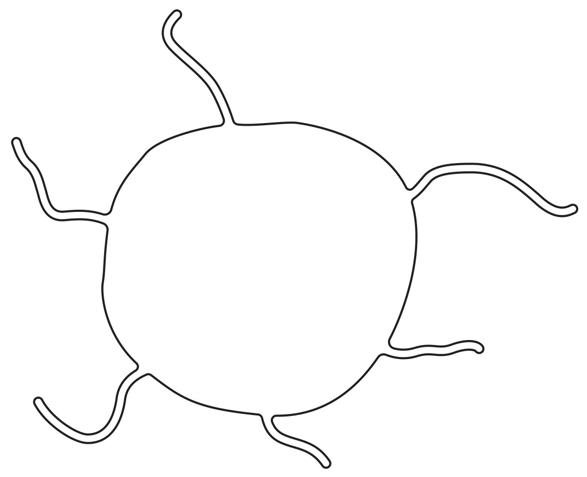 Fig. 2.2