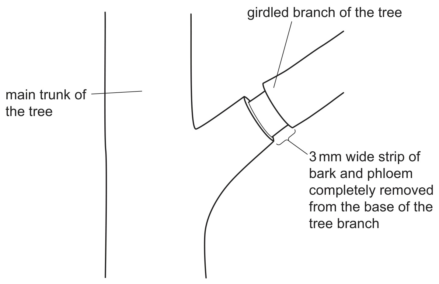 Fig. 2.3