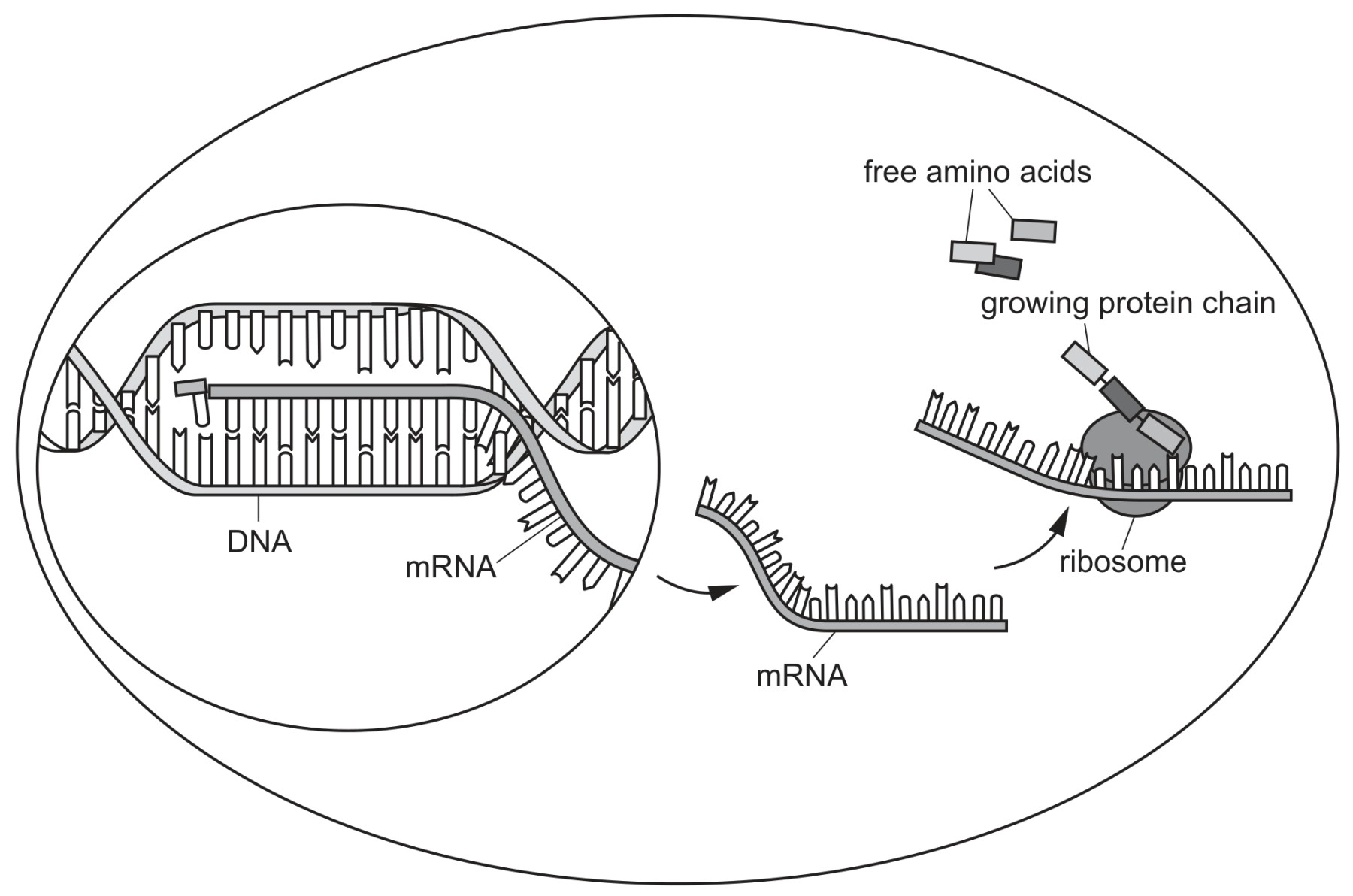 Fig. 6.1