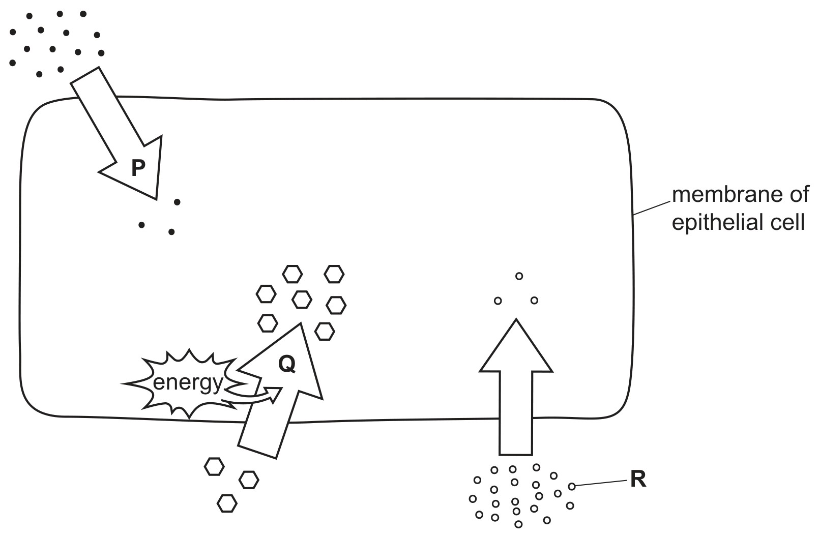 Fig. 1.1