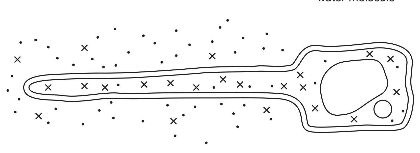 Fig. 5.1