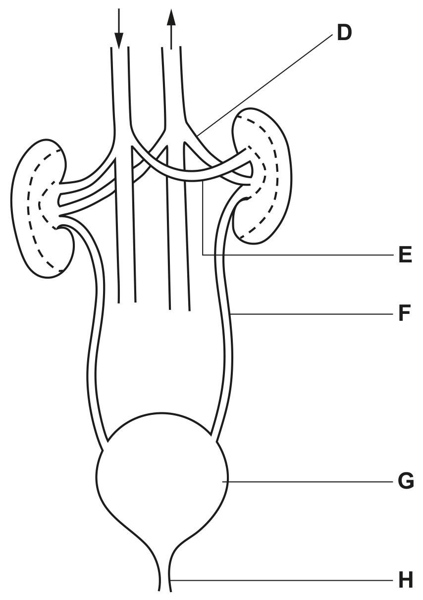not to scale