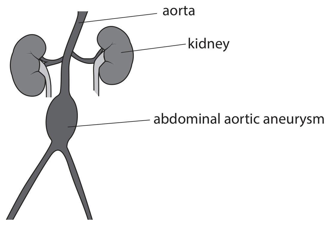 Figure for Question 4 — Edexcel A-Level Biology AS
