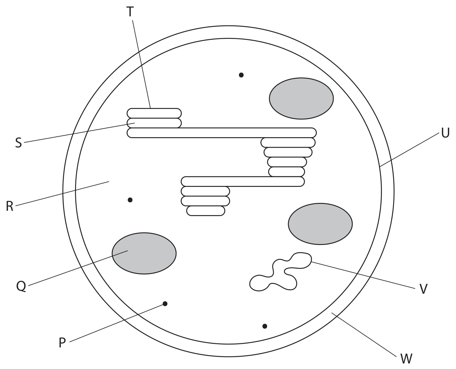 Figure for Question 2 — Edexcel A-Level Biology A2